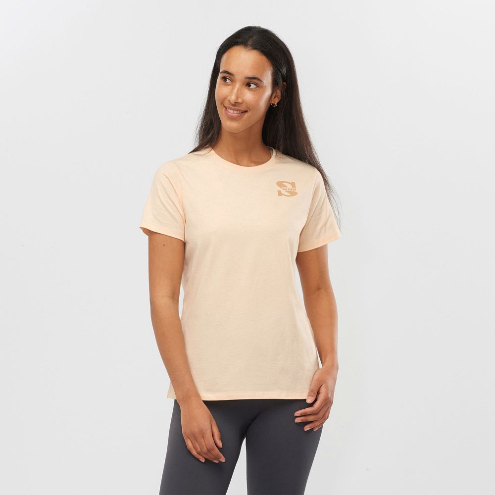 Salomon Singapore Womens T-shirts - OUTLIFE SMALL LOGO SS W Khaki | 24691-QODR